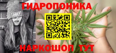 бошки Краснодар