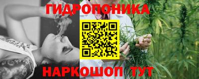 бошки Краснодар