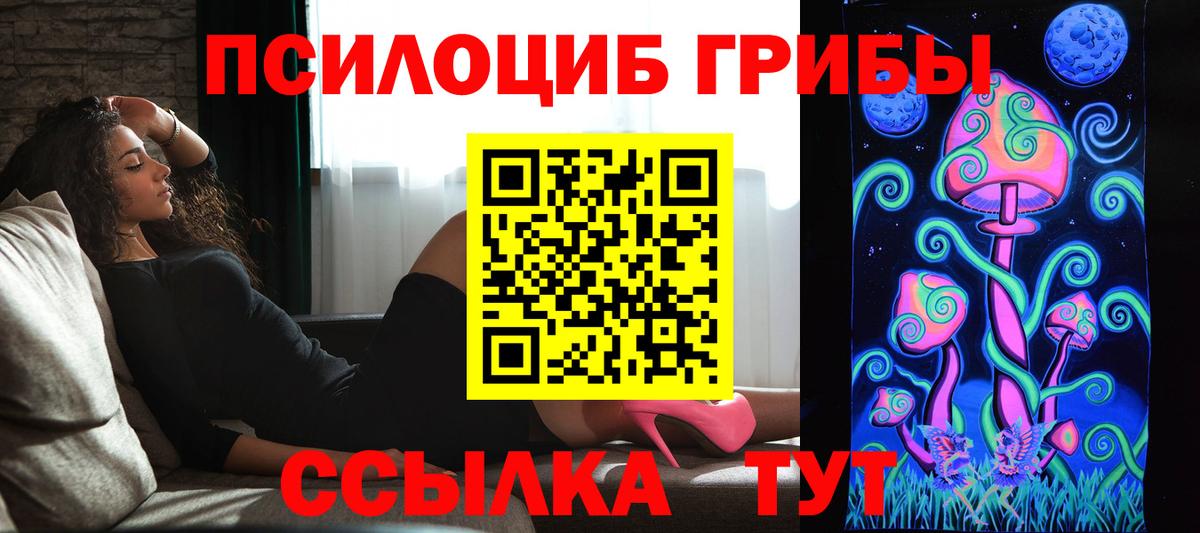 Псилоцибиновые грибы мухоморы Дивногорск